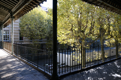 Cliquez sur la vignette pour l'agrandir